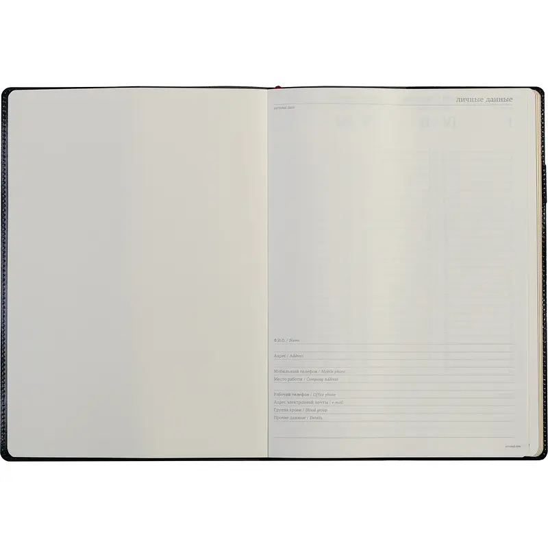 Еженедельник недатированный Bruno Visconti Profy натуральная кожа А4 64 листа синий — для хранение — фото 9