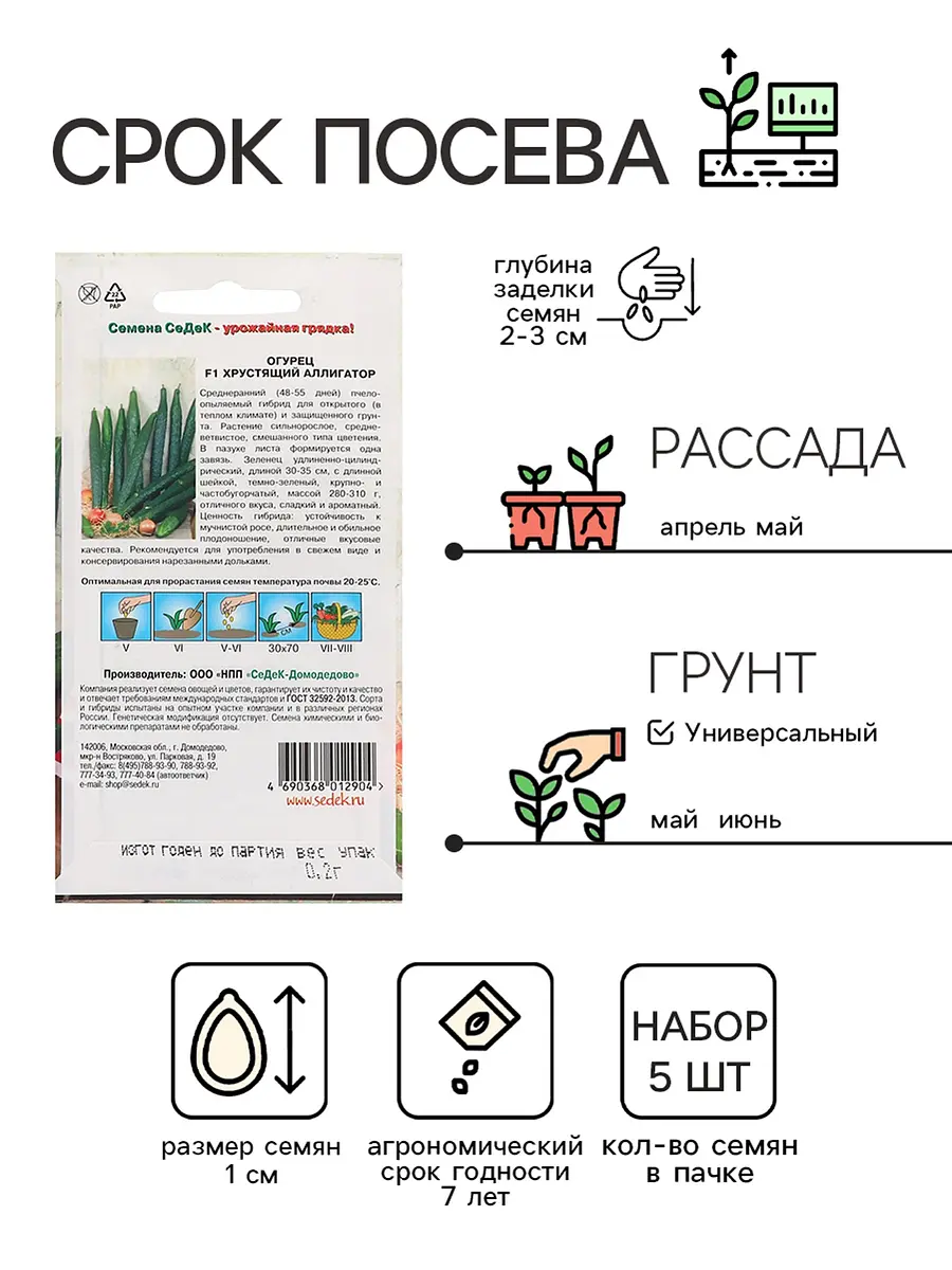 Семена огурец — для огород — фото 2