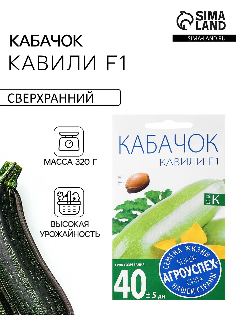 Семена кабачок — для огород