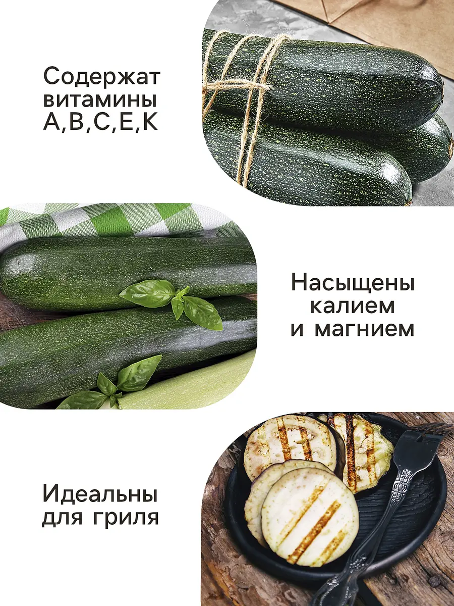 Семена кабачок — для огород — фото 5