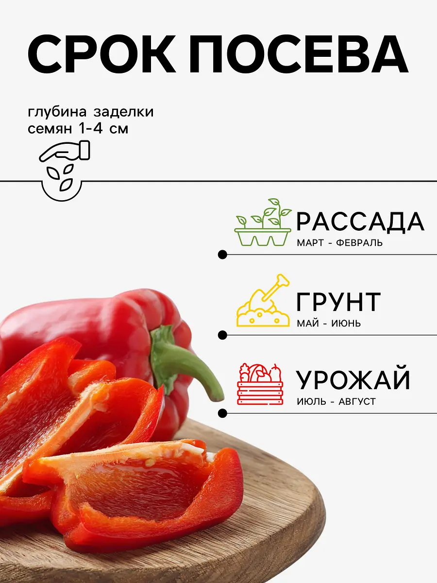 Семена перец — для огород — фото 2