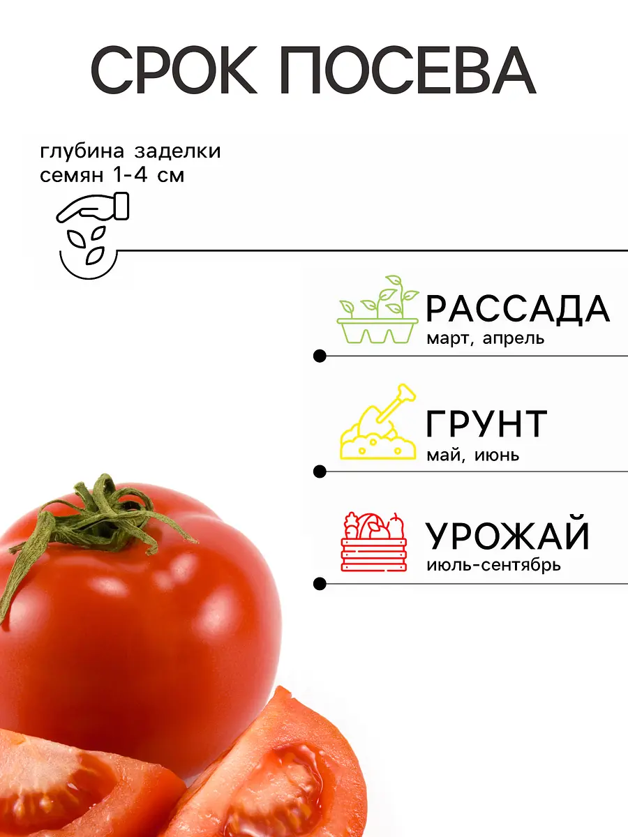 Семена томат — для огород — фото 2