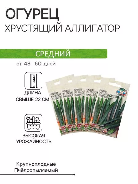 Семена Огурец «Хрустящий аллигатор » — для огород