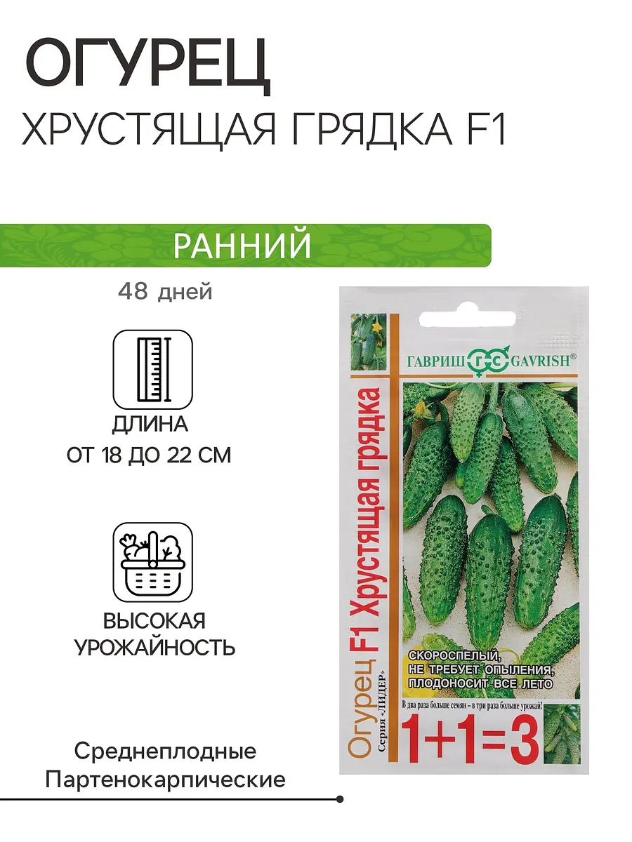 Семена огурец — для огород
