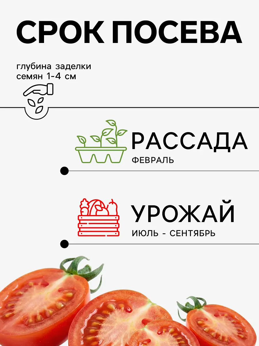 Семена томат — для огород — фото 2