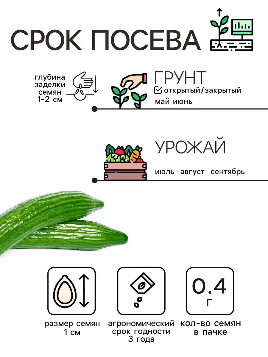Семена огурец — для огород — фото 3