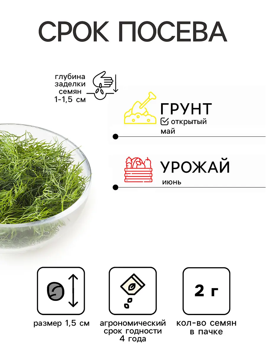 Семена укроп — для огород — фото 4