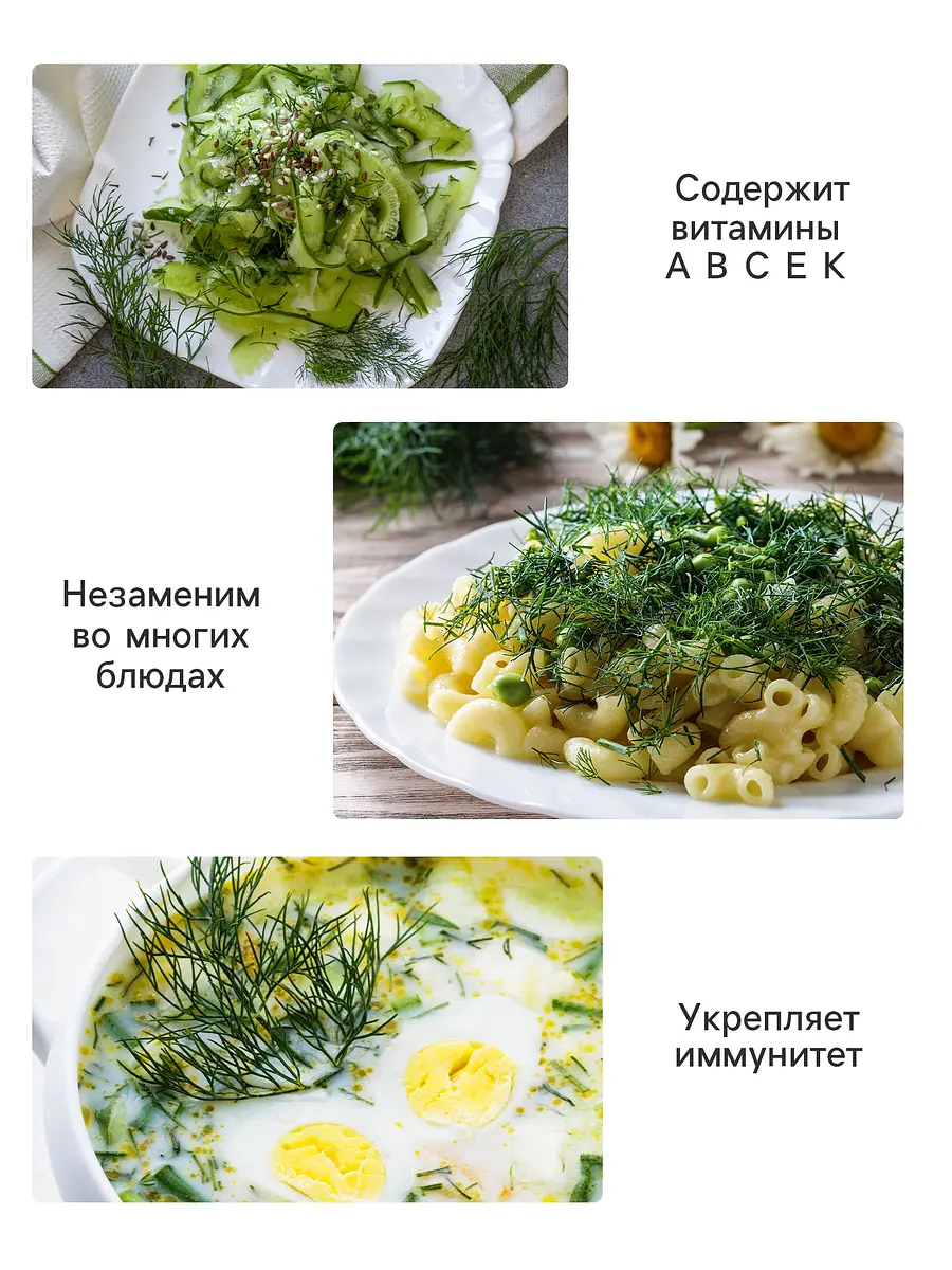 Семена укроп — для огород — фото 5