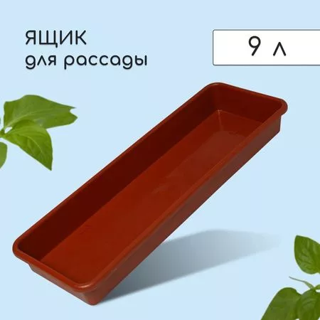 Ящик для рассады — для хранение