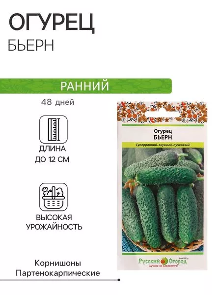 Семена Огурец «Бьерн» — для огород