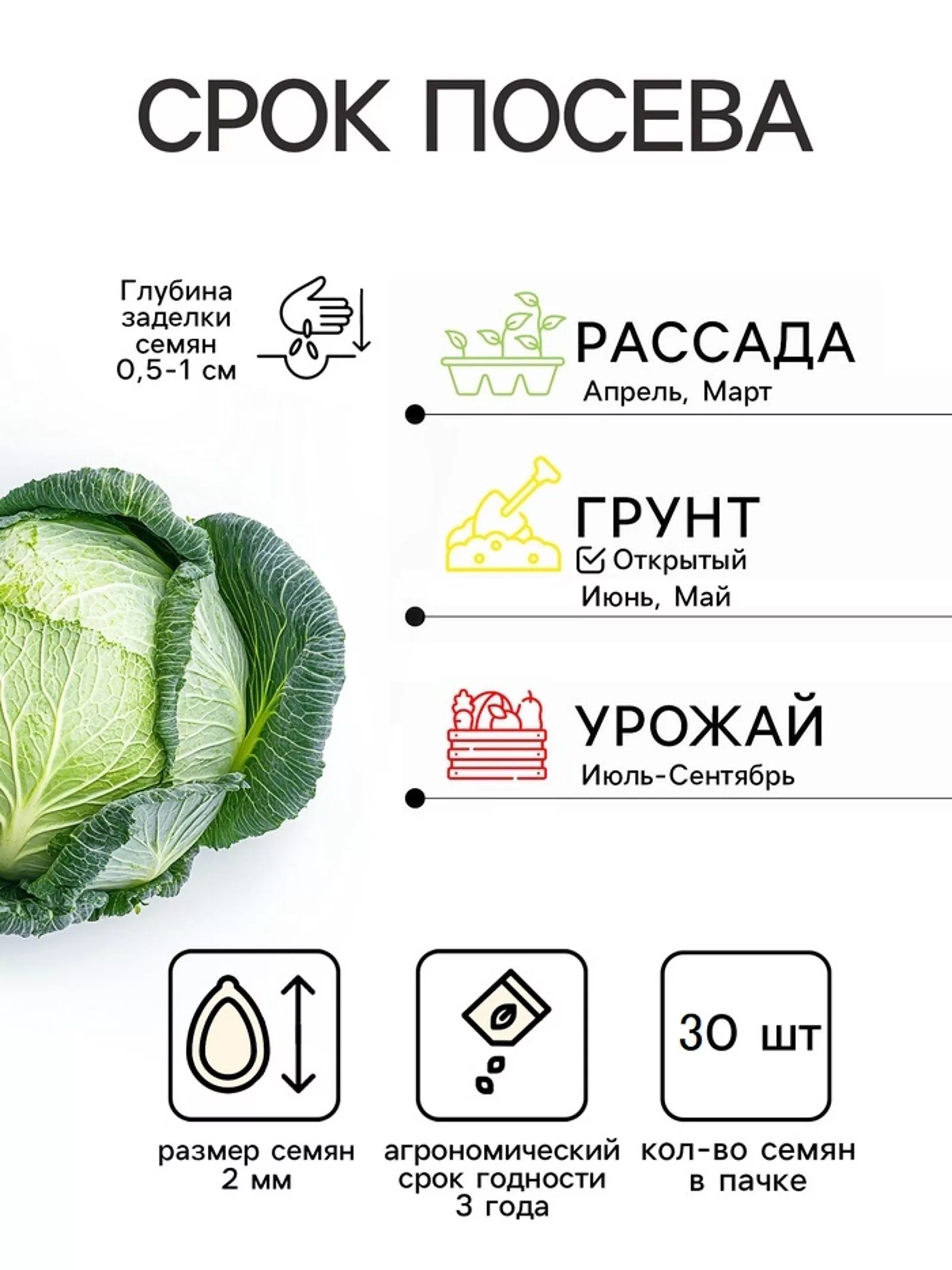 Семена Капуста пекинская «Ча-ча» — для огород — фото 2