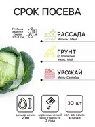 Семена Капуста пекинская «Ча-ча» — для огород — фото 9