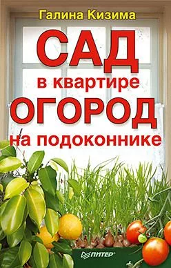 огород на подоконнике — для огород