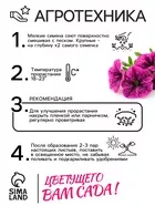 Семена цветов Петуния «Фиолетовый леопард» — для огород — фото 9