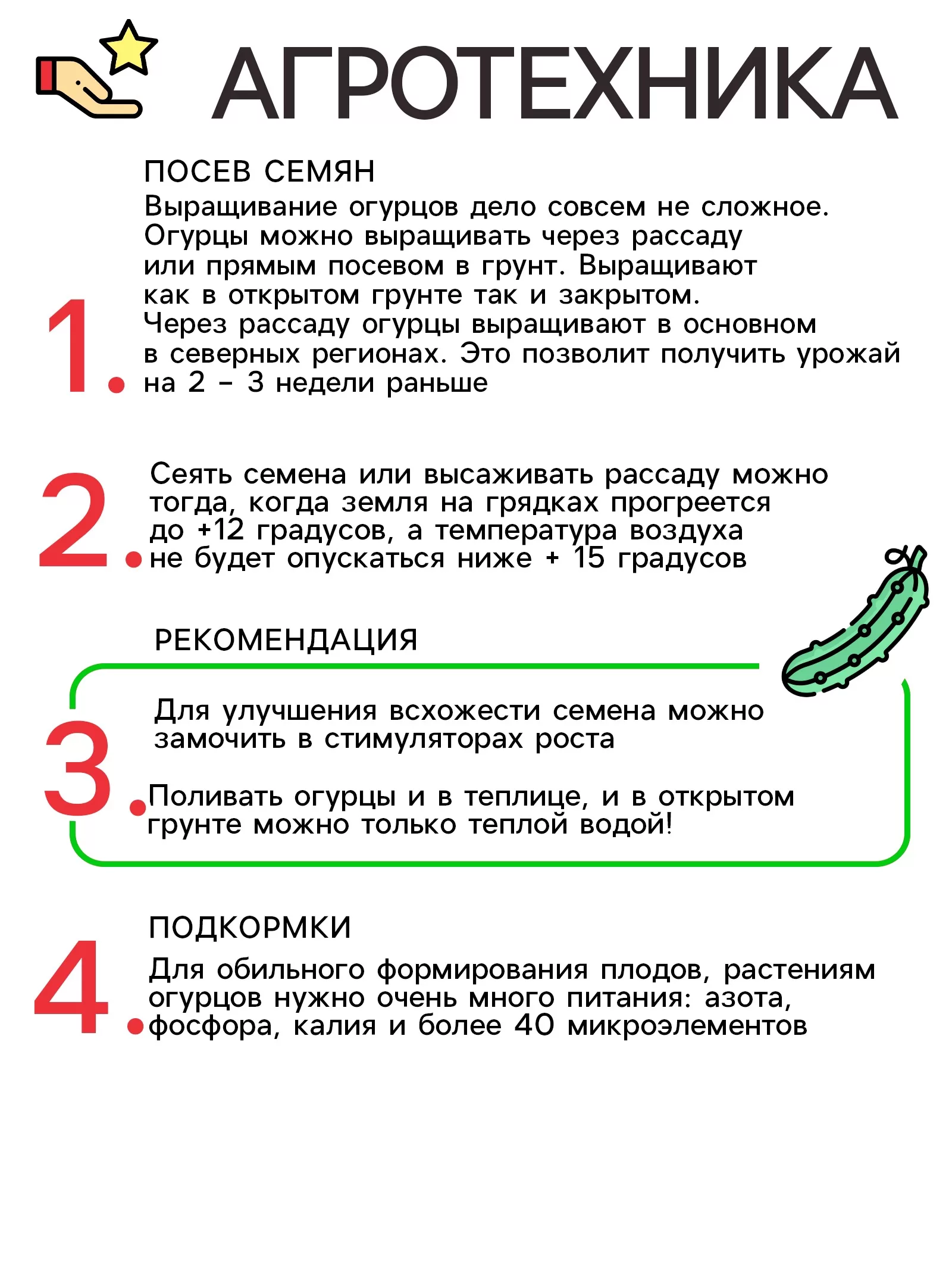 Семена Огурец «Богатая грядка» — для огород — фото 4