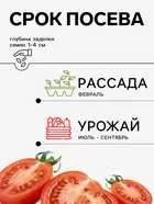 Семена Томат — для огород — фото 9