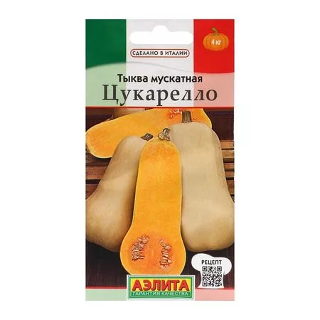 Семена Тыква мускатная "Цукарелло" — для огород — фото 3