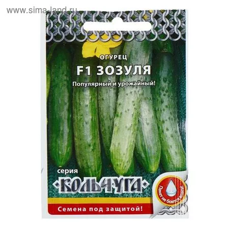 Семена огурца «Зозуля» — для огород