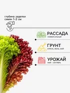 Семена Салат листовой «Весёлая грядка» — для огород — фото 9