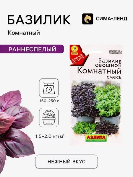 Семена Базилик овощной «Комнатный» — для огород