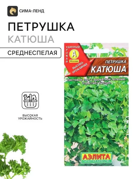 Семена Петрушка листовая «Катюша» — для огород
