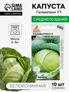 Семена Капуста белокочанная — для огород — фото 8