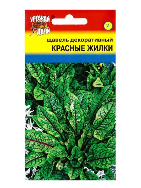 Семена цветов Щавель декоративный «Красные жилки» — для огород
