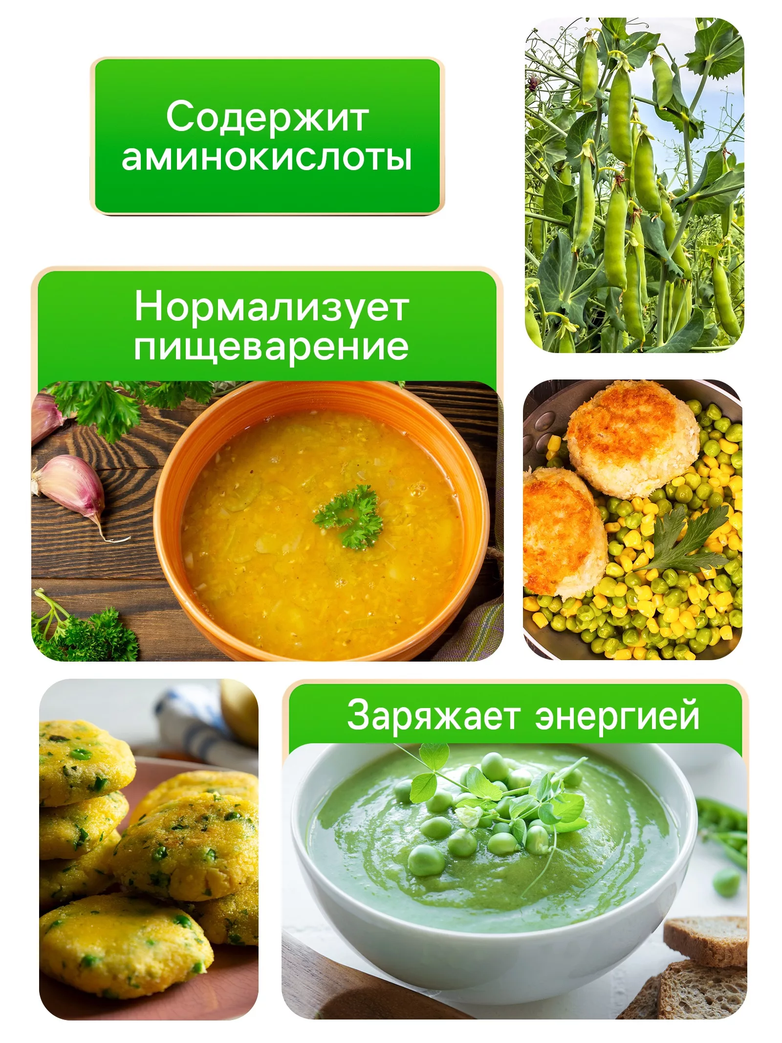 Семена Горох сахарный «Рафинад» — для огород — фото 3