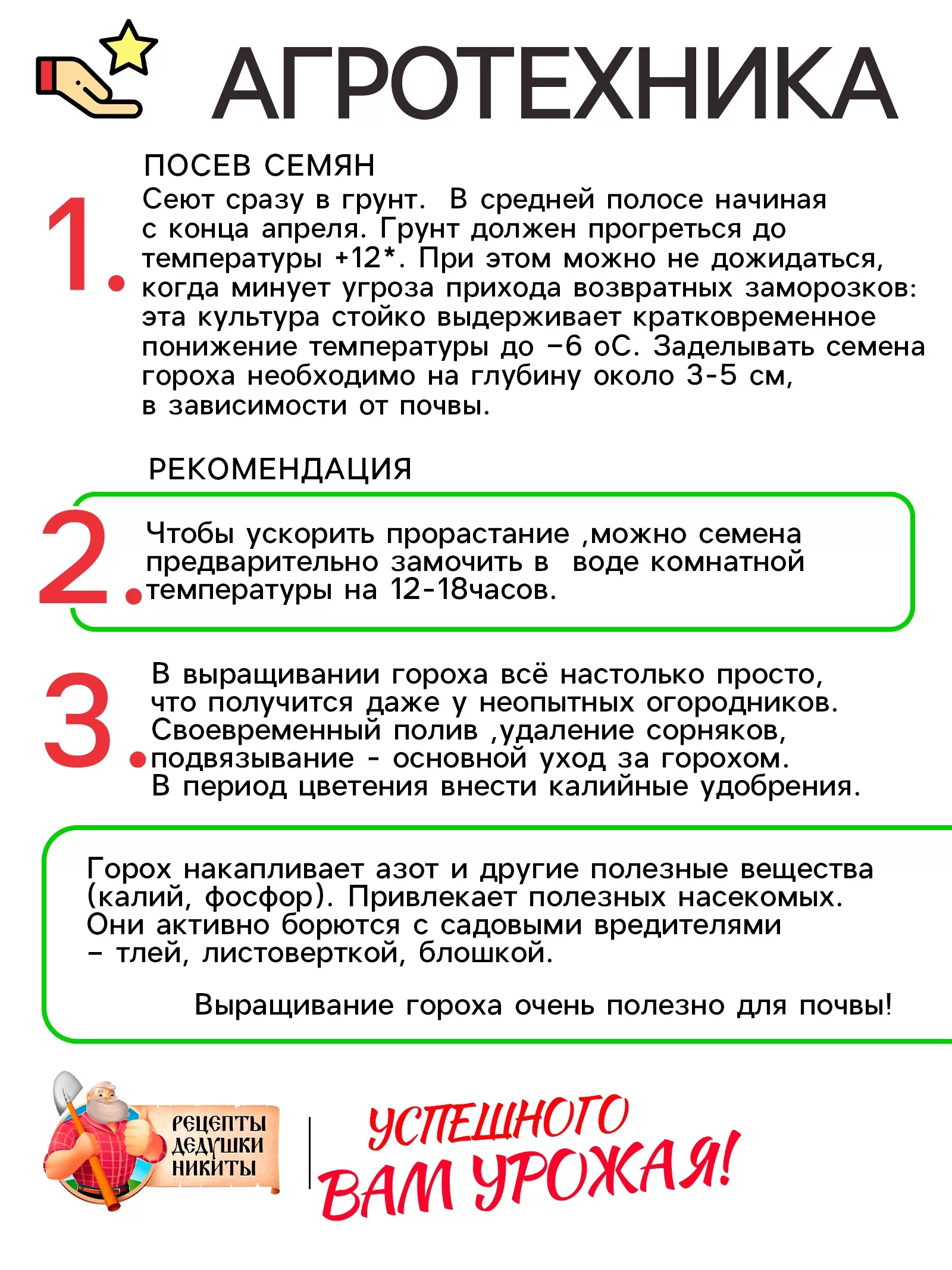 Семена Горох сахарный «Рафинад» — для огород — фото 4
