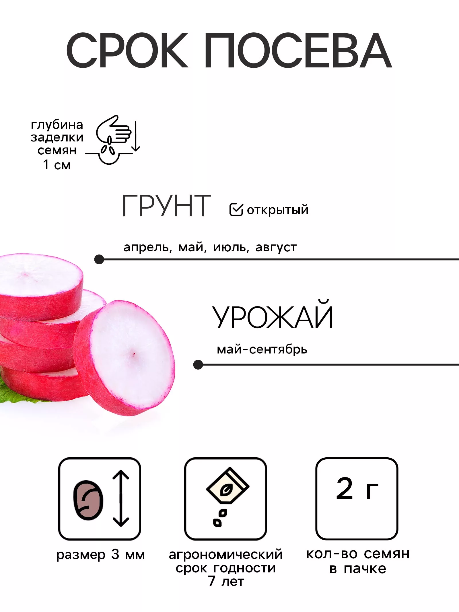 Семена Редис "Белый завтрак" — для огород — фото 2