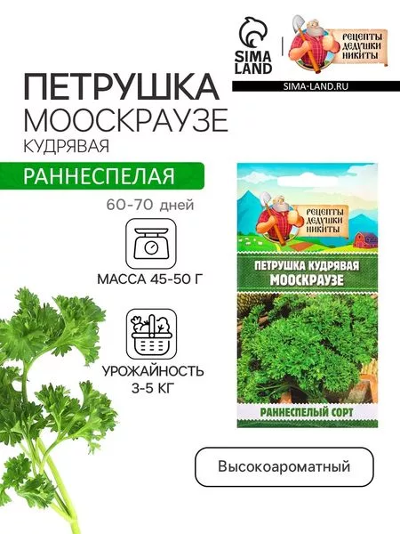 Семена Петрушка кудрявая «Мооскраузе» — для огород