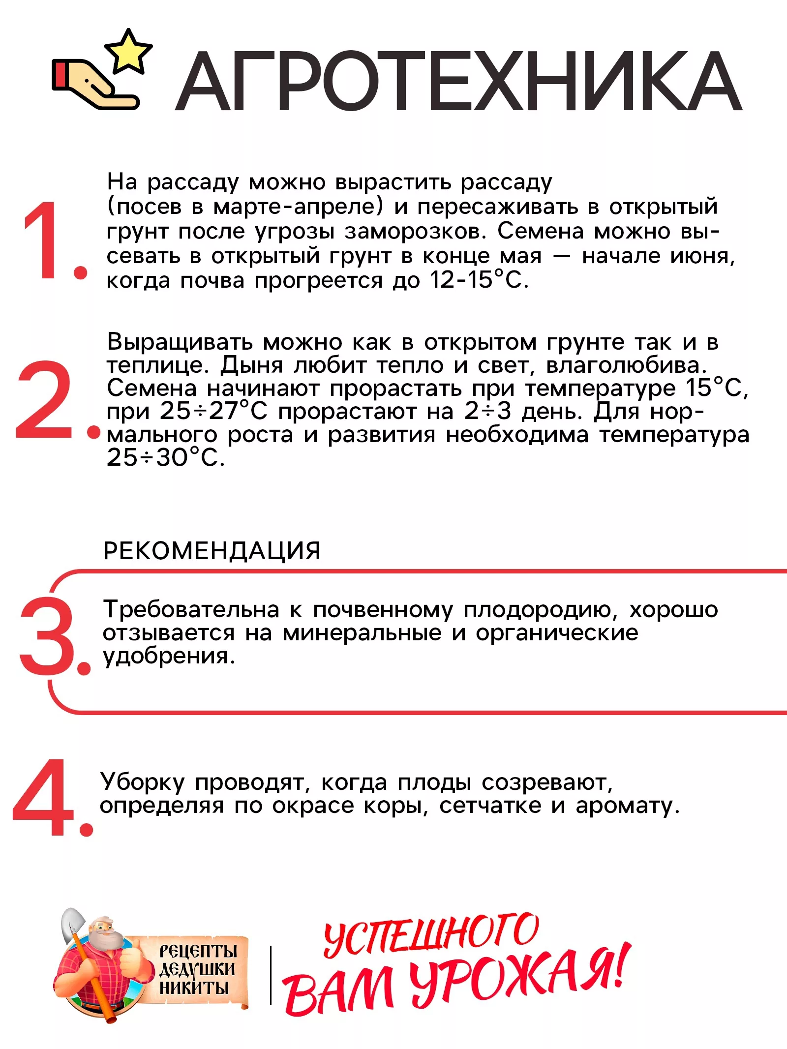 Семена Дыня «Колхозница 749/753» — для огород — фото 4