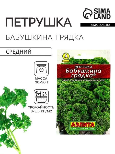 Семена Петрушка кудрявая «Бабушкина грядка» — для огород — фото 2