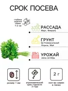 Семена Петрушка кудрявая «Бабушкина грядка» — для огород — фото 9