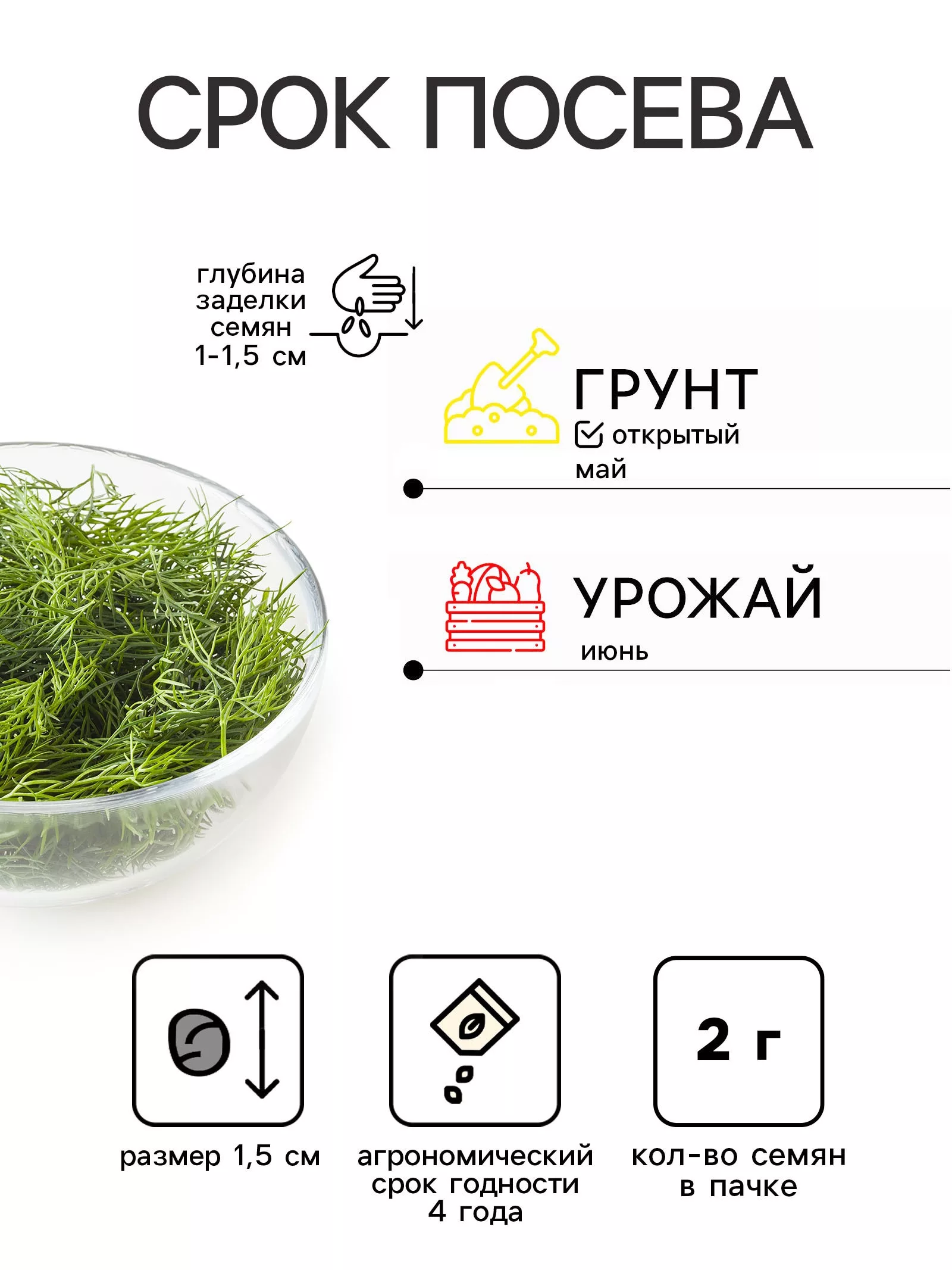 Семена Укроп "Победитель" (сер.Грядка здоровья) — для огород — фото 2