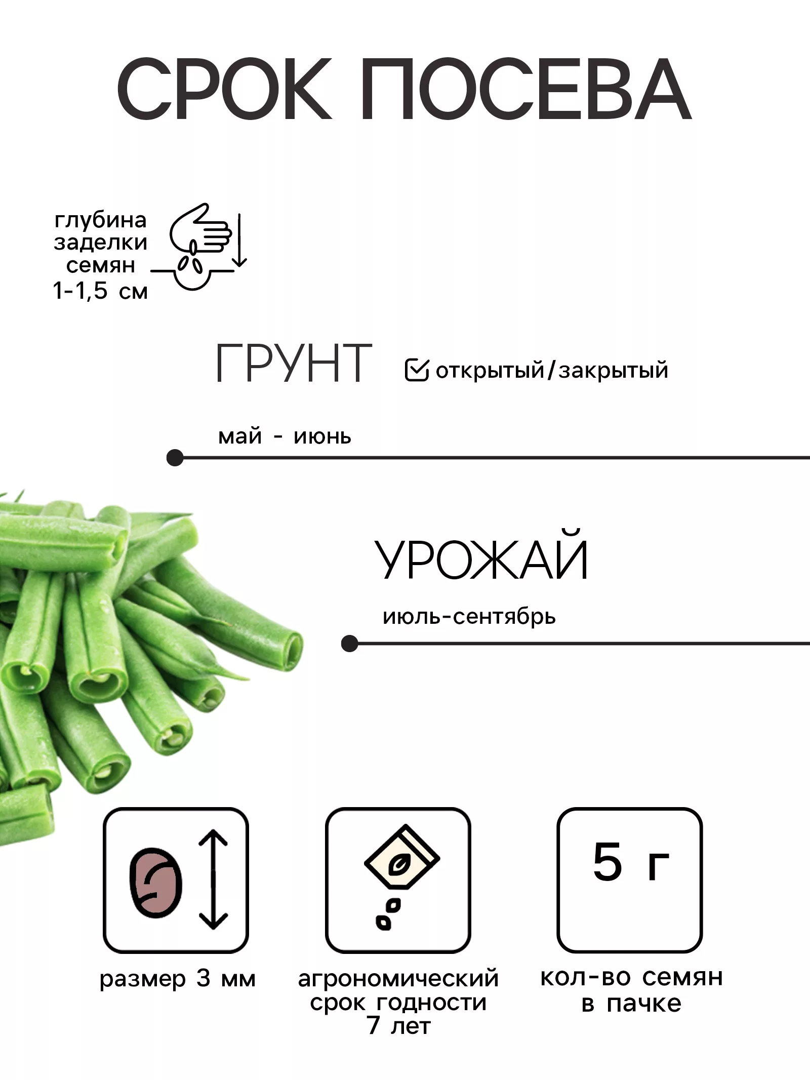 Семена Фасоль спаржевая «Масляный король» — для огород — фото 2