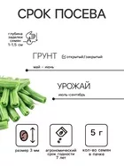 Семена Фасоль спаржевая «Масляный король» — для огород — фото 9