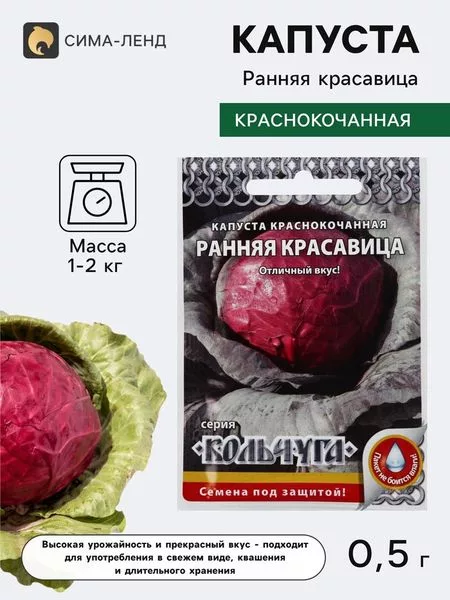Семена Капуста краснокочанная «Ранняя красавица» — для огород