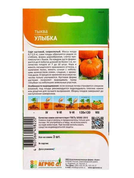 Семена Тыква «Улыбка» 3 шт. — для огород