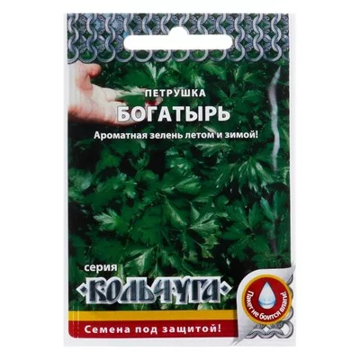 Семена Петрушка листовая "Богатырь" серия Кольчуга — для огород — фото 6