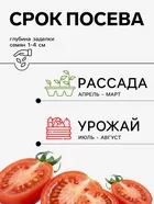 Семена Томат «Элегант» — для огород — фото 9