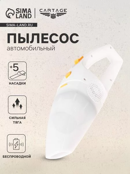 Пылесос автомобильный — для полив