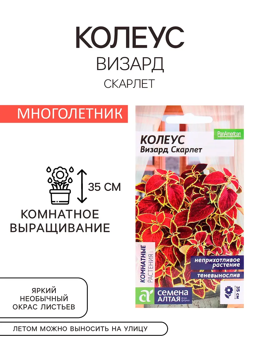 Семена комнатных цветов колеус — для огород