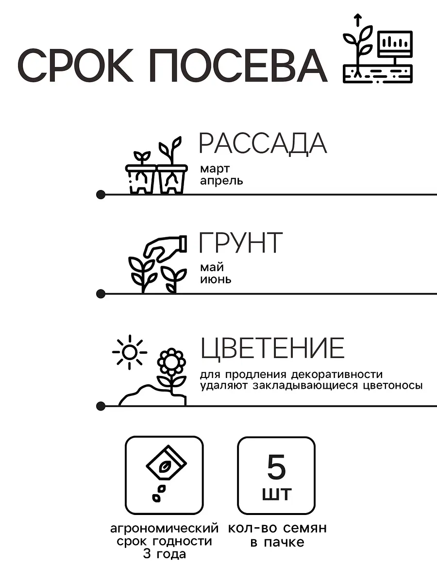 Семена комнатных цветов колеус — для огород — фото 2