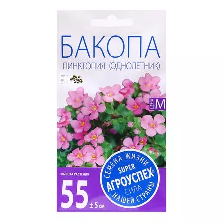 Семена цветов Бакопа "Пинктопия" — для огород