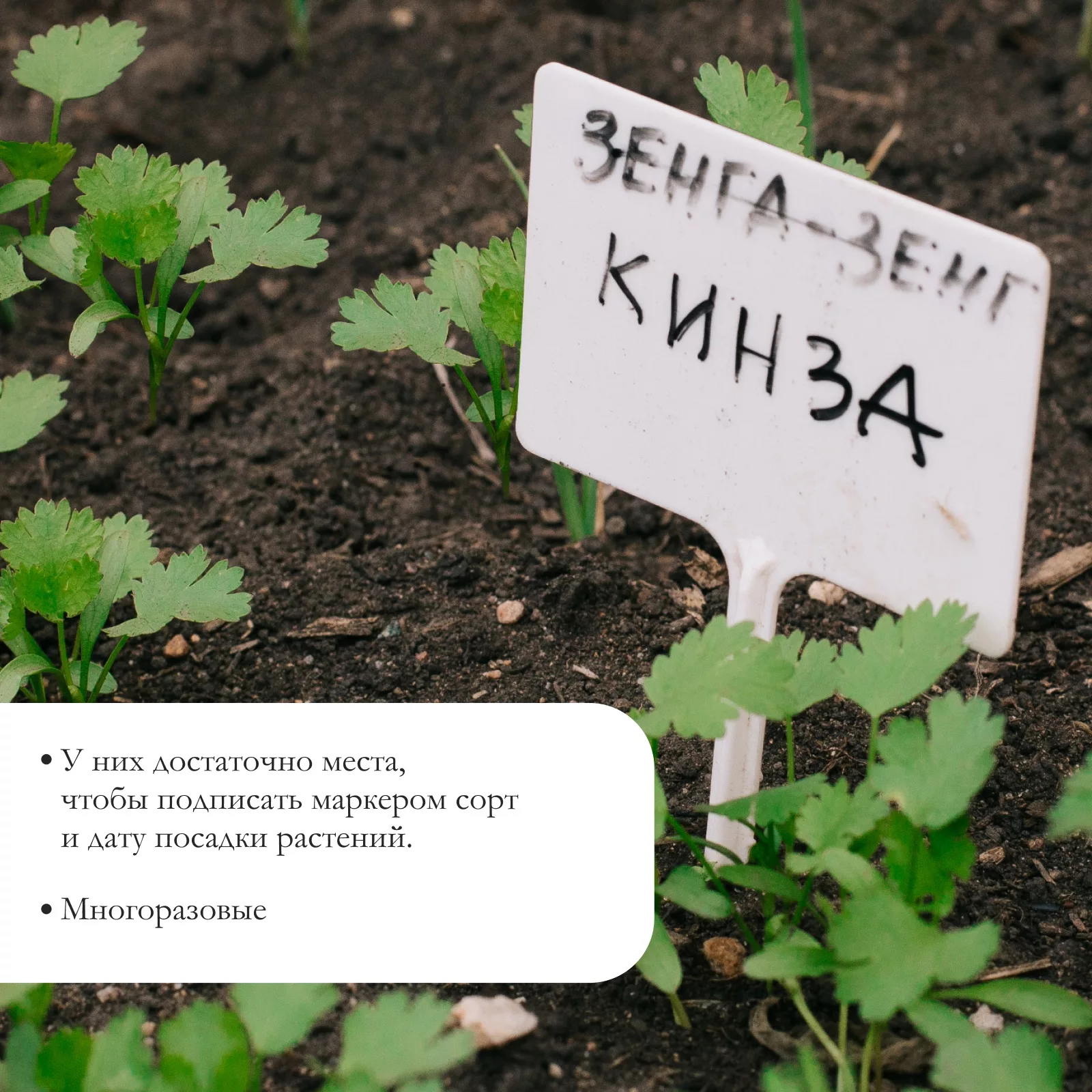 для маркировки растений — для теплица — фото 4