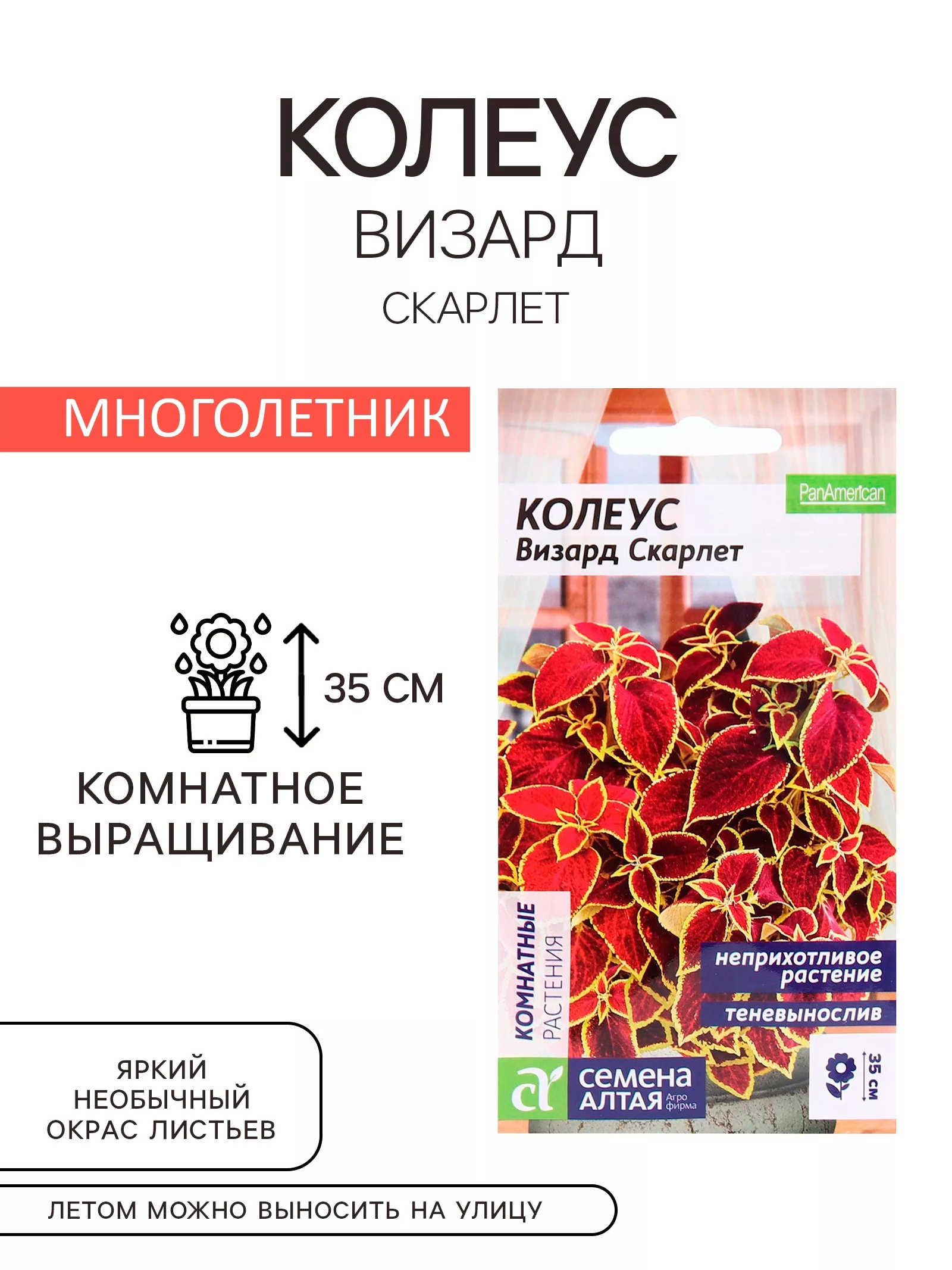 Семена комнатных цветов Колеус «Визард Скарлет» — для огород