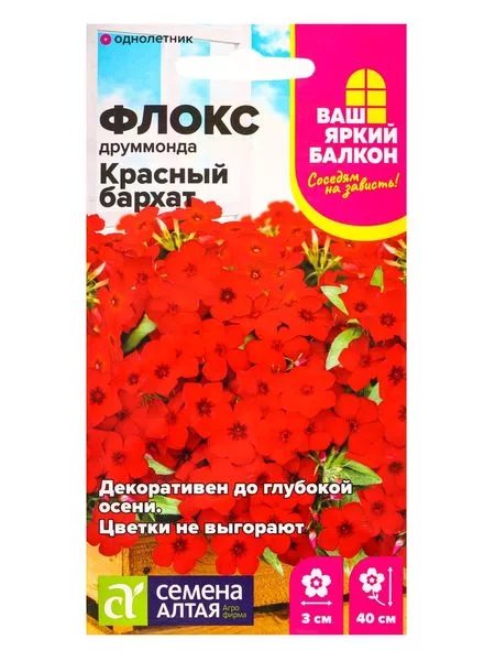 Семена цветов Флокс Друммонда «Красный Бархат» — для огород