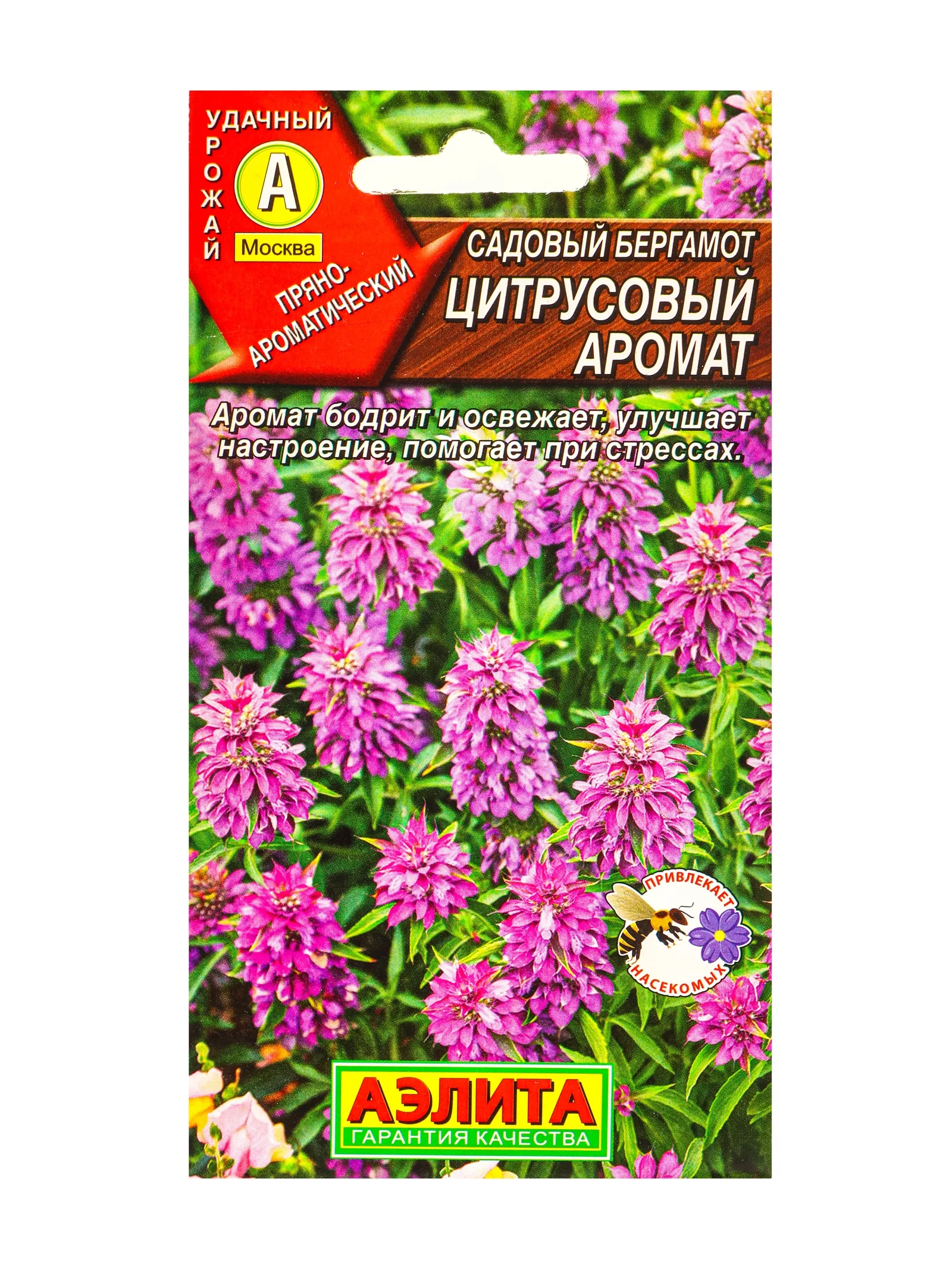 Семена Садовый бергамот Цитрусовый аромат — для огород