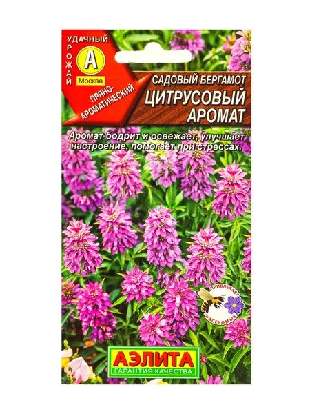 Семена Садовый бергамот Цитрусовый аромат — для огород — фото 4